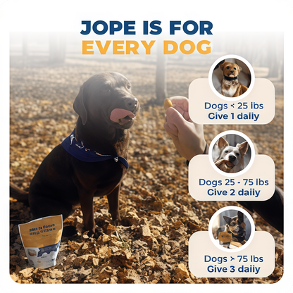 Jope Hip & Joint Dog Chews- 60 Count